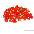 Organic Goji Berries (350grains/50g)